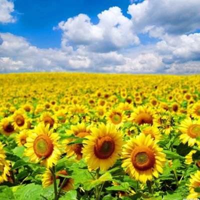 斗战英魂4399版下载